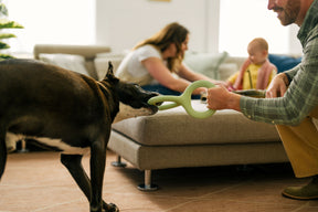 Earth Rated Tug Toy Rubber (2 sizes)