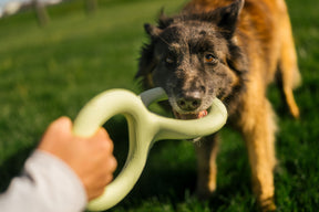 Earth Rated Tug Toy Rubber (2 sizes)