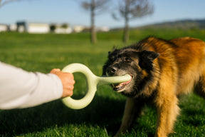 Earth Rated Tug Toy Rubber (2 sizes)