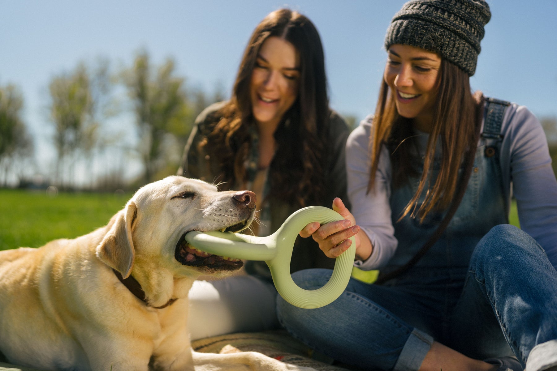 Earth Rated Tug Toy Rubber (2 sizes)