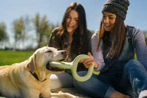 Earth Rated Tug Toy Rubber (2 sizes)