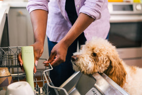 Earth Rated Chew Toy Rubber (2 sizes)