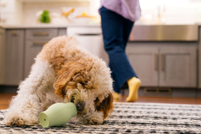 Earth Rated Treat Toy Rubber (2 sizes)