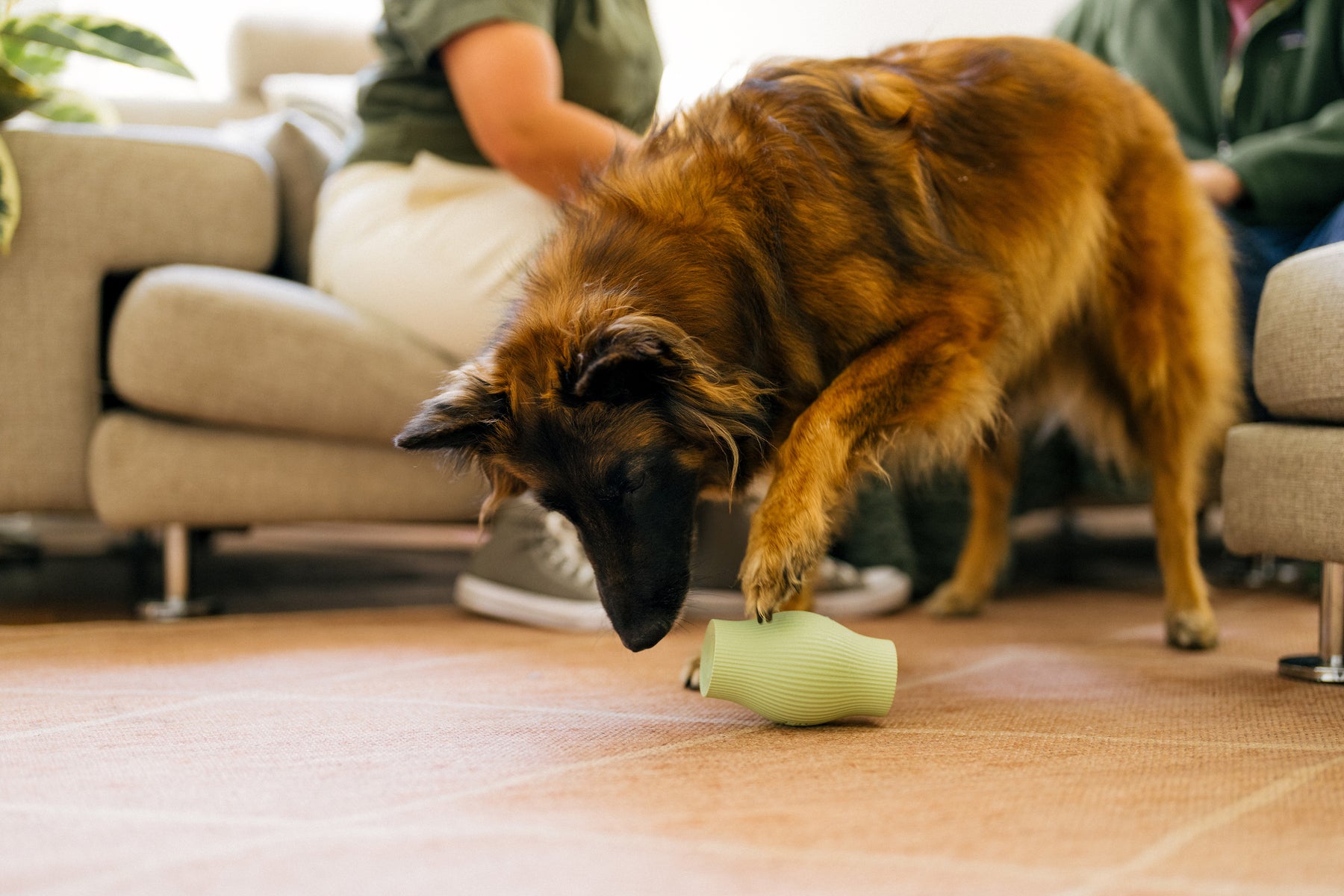 Earth Rated Treat Toy Rubber (2 sizes)