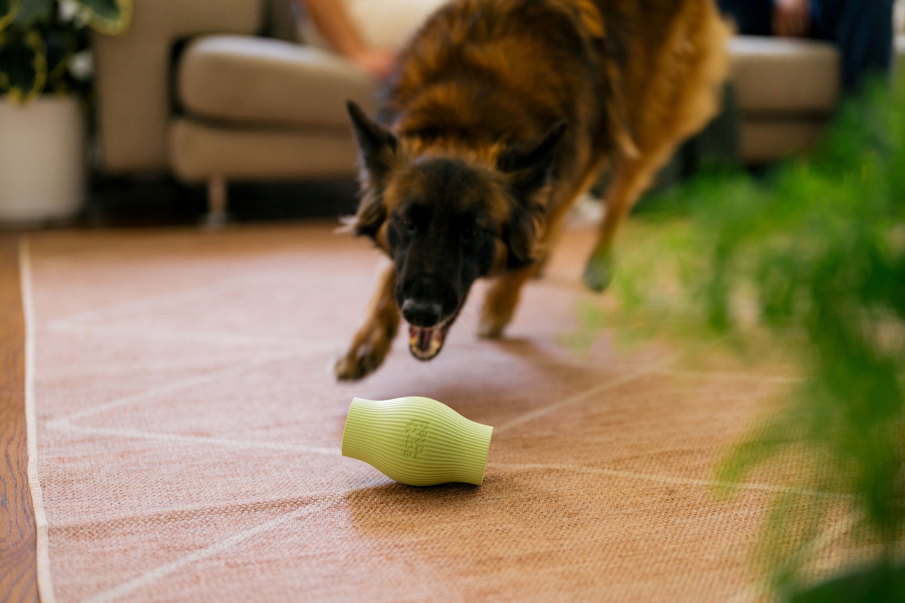 Earth Rated Treat Toy Rubber (2 sizes)