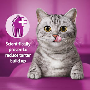 WHISKAS Dentabites Cat Treats with Chicken