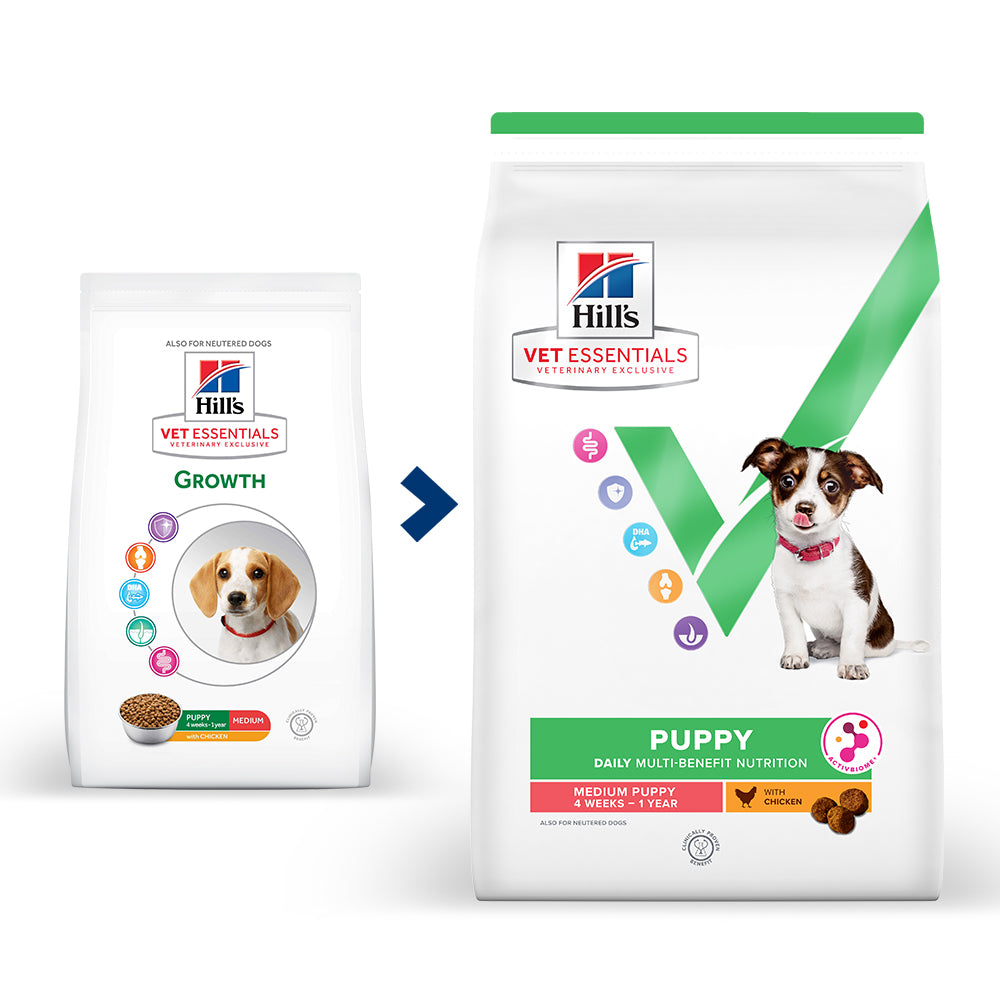 Week Dog Pregnancy Day By Day Raw Feeding For Pregnant Dogs Get