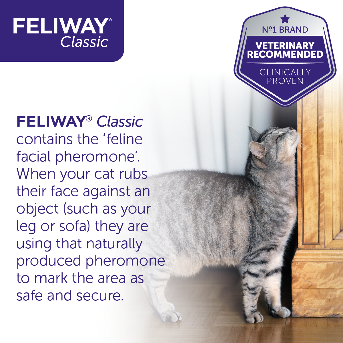 Feliway Classic 30 Day Refill for Diffuser