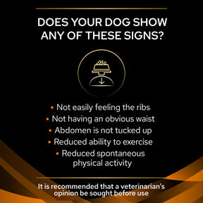 PURINA® PRO PLAN® Veterinary Diets - Canine OM Obesity Management - Mousse