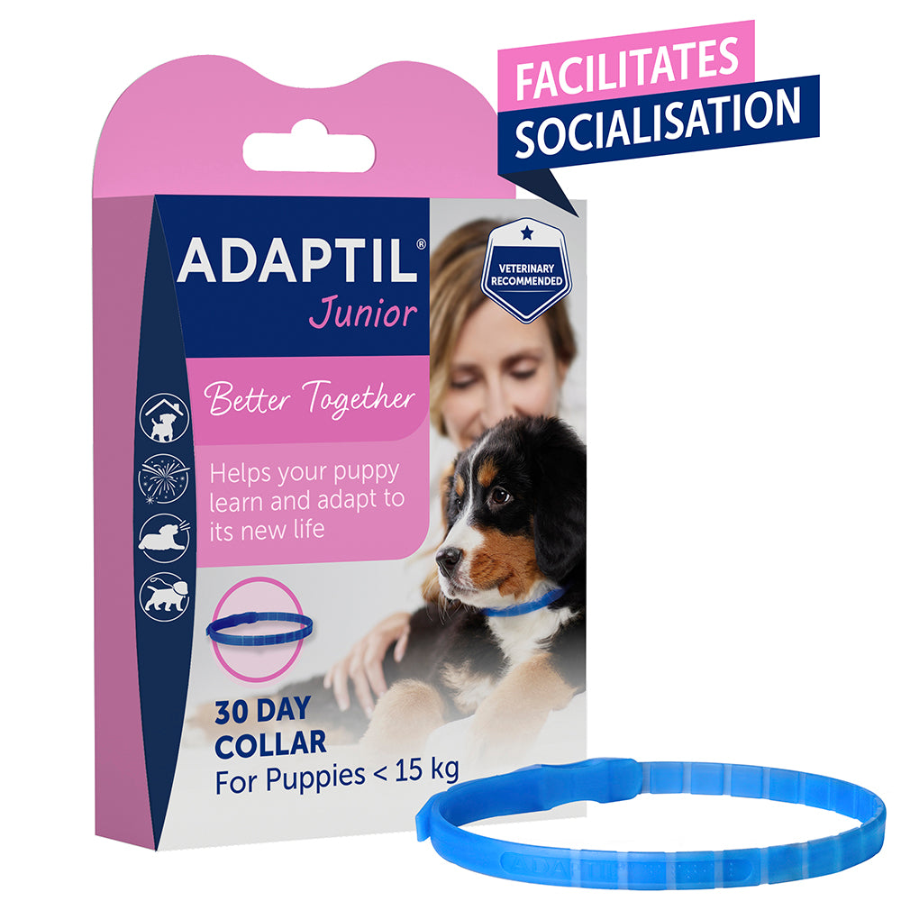 Adaptil Game Adaptil Collar Junior
