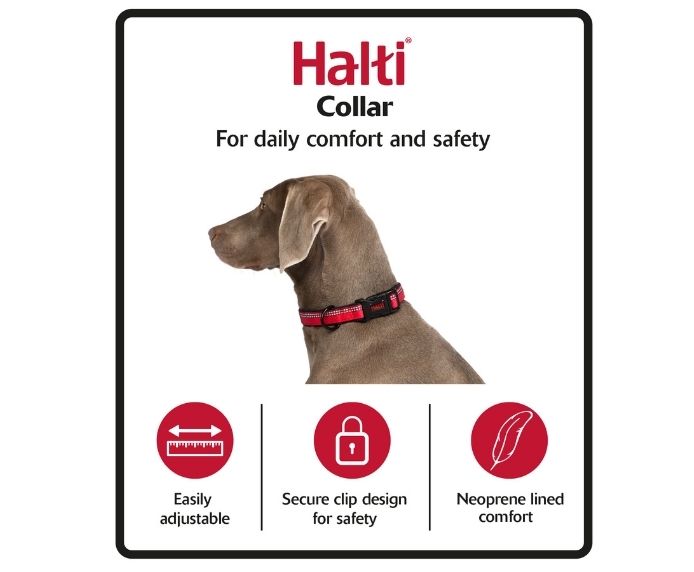 X small dog shock collar sale
