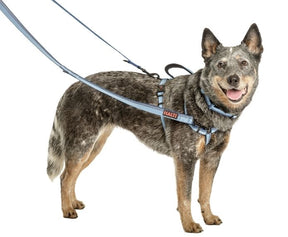 Halti Double Ended Dog Lead Red Large
