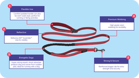 Halti Active Dog Lead (2 colours)