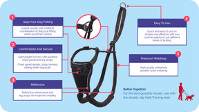 No pull training harness outlet