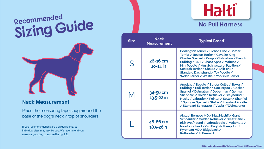 No pull harness for beagle sale