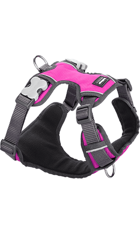 Red Dingo Padded Hot Pink Dog Harness - Main Image