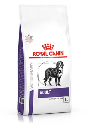 ROYAL CANIN Adult Large Dry Dog Food