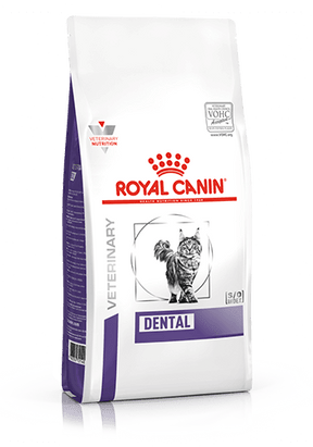 ROYAL CANIN Dental Adult Dry Cat Food