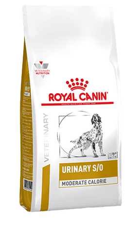 ROYAL CANIN® Urinary S/O Moderate Calorie Adult Dry Dog Food