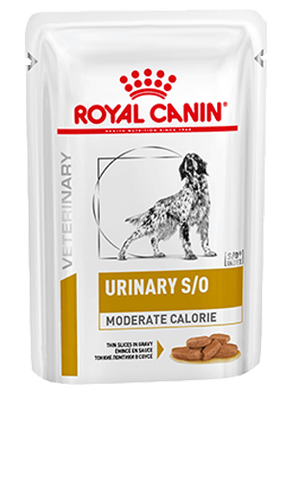 ROYAL CANIN® Canine Urinary S/O Moderate Calorie Thin Slices in Gravy Adult Wet Dog Food