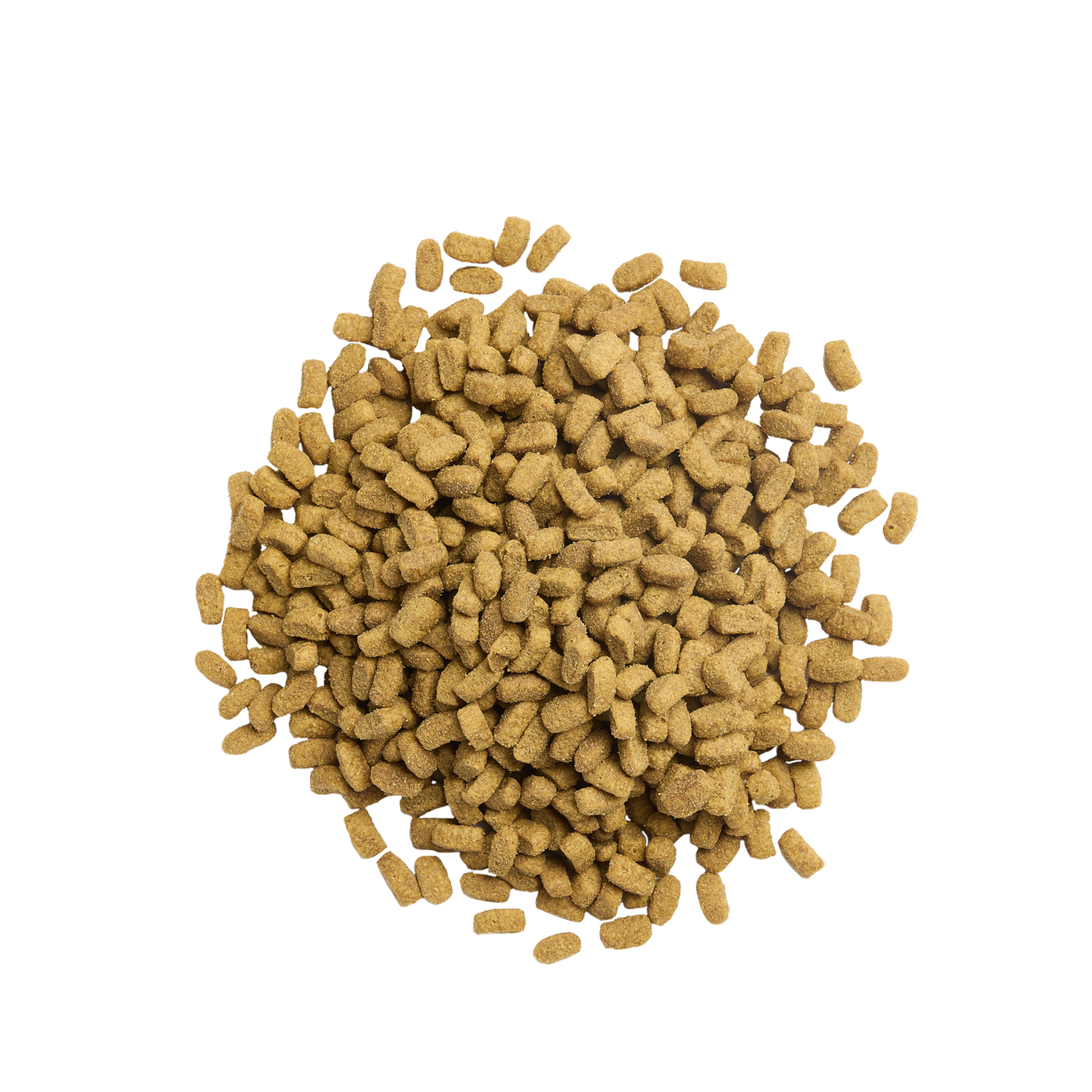 Purina pro plan cat online